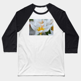 Crocus sieberi  &#39;Bowles&#39;s White&#39; Baseball T-Shirt